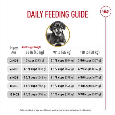 Breed Health Nutrition Rottweiler Puppy Dry Dog Food, 30-lb bag