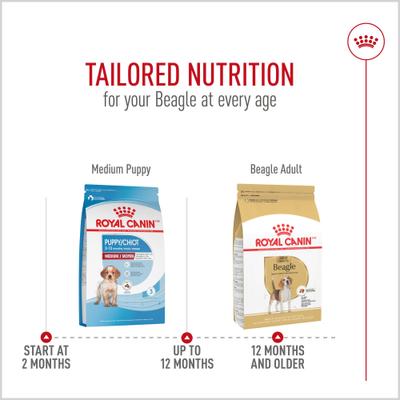 Breed Health Nutrition Beagle Adult Dry Dog Food, 30-lb bag