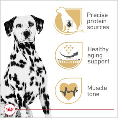 Breed Health Nutrition Dalmatian Adult Dry Dog Food, 30-lb bag