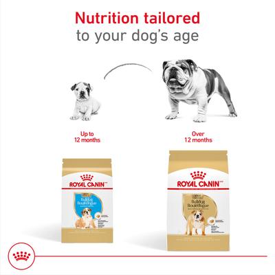 Breed Health Nutrition Bulldog Puppy Dry Dog Food, 6-lb bag