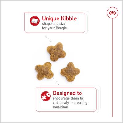 Breed Health Nutrition Beagle Adult Dry Dog Food, 30-lb bag