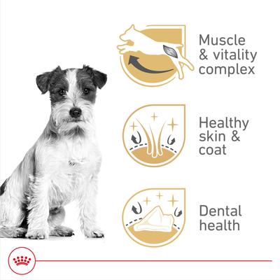 Breed Health Nutrition Jack Russell Terrier Adult Dry Dog Food, 10-lb bag