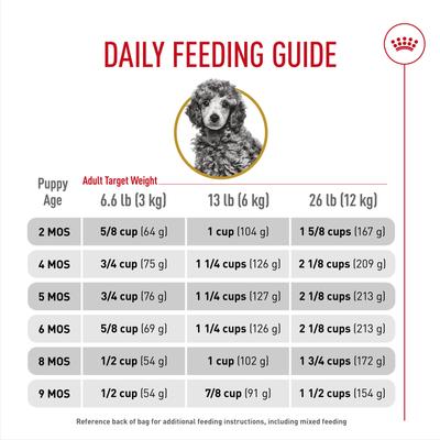 Breed Health Nutrition Poodle Puppy Dry Dog Food, 2.5-lb bag