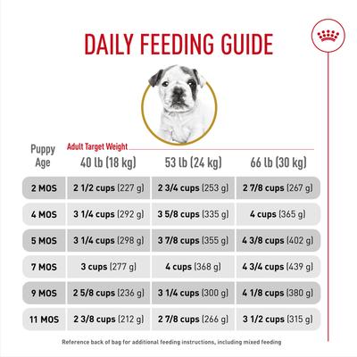 Breed Health Nutrition Bulldog Puppy Dry Dog Food, 6-lb bag