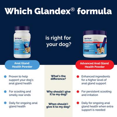 Glandex Anal Gland Support Supplement Powder with Pork Liver Flavor for Dogs & Cats, 5.5-oz bottle, bundle of 2
