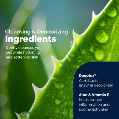 Toallitas higiénicas desodorantes y limpiadoras de glándulas anales Glandex Boot the Scoot para perros y gatos, 75 unidades