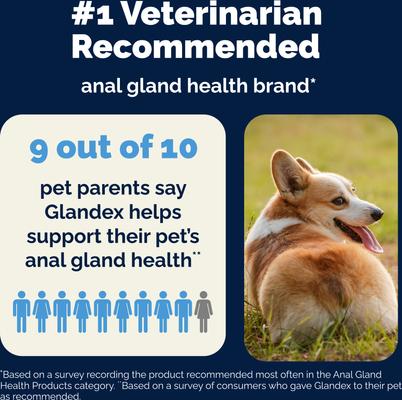 Glandex Medicated Anal Gland Fast Acting in Pain Relieving Anti-Itch Dog & Cat Spray, 4-fl oz bottle