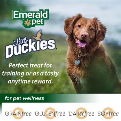 Grain-Free Little Duckies with Duck & Pumpkin Dog Treats, 5-oz bag