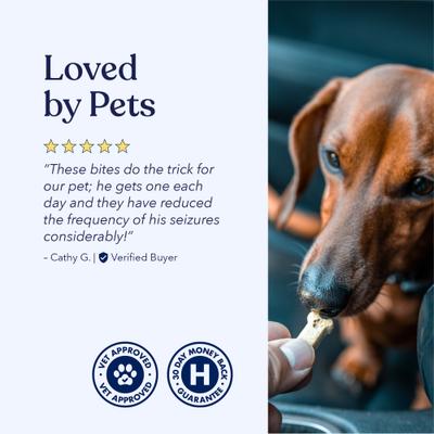 Full-Spectrum Hemp Oil Bites Well Blend Creamy Coconut Flavored Immune Chew Supplement for Dogs, 30 count