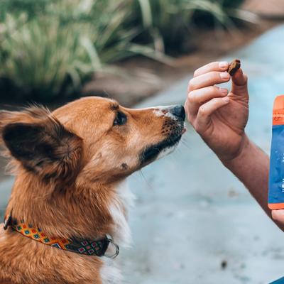 Full-Spectrum Hemp Oil Soft Chews Mobility Blend Chicken Flavored Joint Supplement for Dogs, 30 count