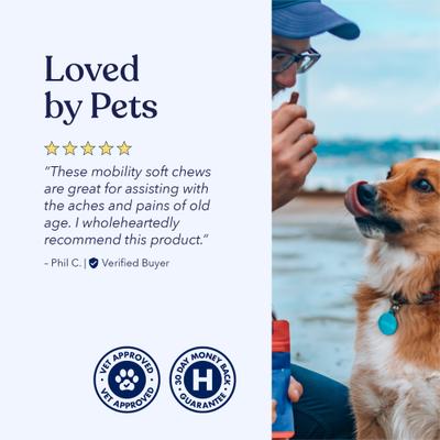 Full-Spectrum Hemp Oil Soft Chews Mobility Blend Chicken Flavored Joint Supplement for Dogs, 30 count