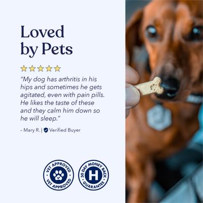 Full-Spectrum Hemp Oil Bites Peanut Butter Flavored Calming Chew Supplement for Dogs, 30 count