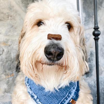 Full Spectrum Hemp Oil Soft Chews Chicken Flavored Calming Supplement for Dogs, 30 count