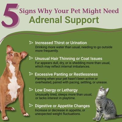 Adrenal Support Liquid Hormone Supplement for Dogs & Cats, 2-fl oz bottle