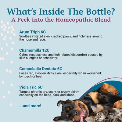 Allergy Itch Ease Granules Skin Itch & Allergies Supplement for Dogs & Cats, 1-oz jar