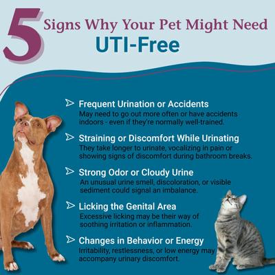 Medicamento homeopático sin UTI para infecciones del tracto urinario UTI para perros y gatos, frasco de 1 oz
