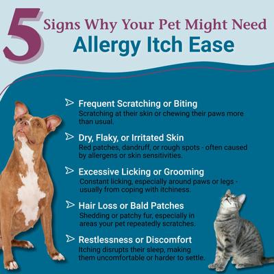 Allergy Itch Ease Granules Skin Itch & Allergies Supplement for Dogs & Cats, 1-oz jar
