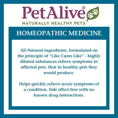 UTI-Free Homeopathic Medicine for Urinary Tract Infections UTI for Dogs & Cats, 1-oz jar