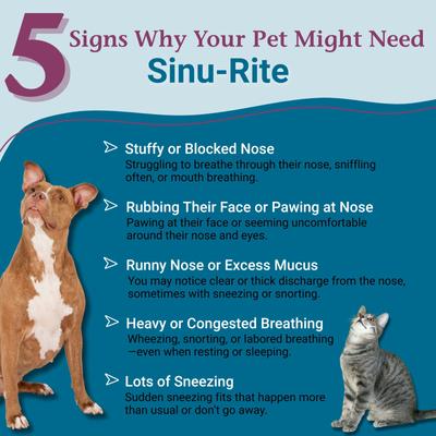 Sinu-Rite Homeopathic Medicine for Allergies for Dogs, 180 count