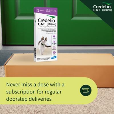 Comprimidos masticables para gatos, 2-4 lb (caja morada), 1 comprimido masticable (suministro para 1 mes)