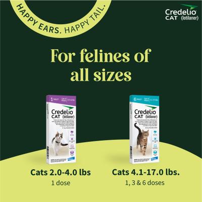 Comprimidos masticables para gatos, 2-4 lb (caja morada), 1 comprimido masticable (suministro para 1 mes)