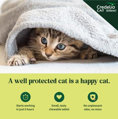 Chewable Tablets for Cats, 2-4 lbs, (Purple Box), 1 Chewable Tablet (1-mo. supply)