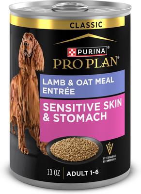 Adult Sensitive Skin & Stomach Lamb & Oat Meal Entree Wet Dog Food, 13-oz can, case of 4