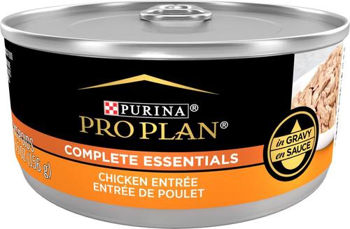 Adult Chicken & Rice Entree in Gravy Canned Cat Food, 5.5-oz, case of 24