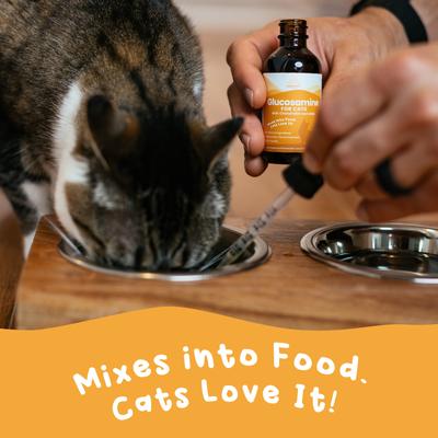 Glucosamine Hip & Joint Supplement for Cats, 2-fl oz