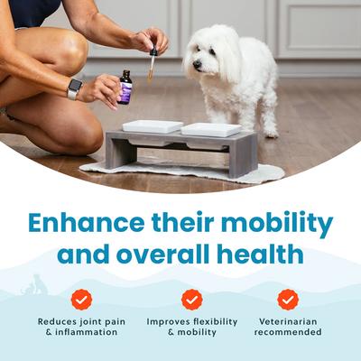 Glucosamine Hip & Joint Supplement for Small Dogs, 2-fl oz