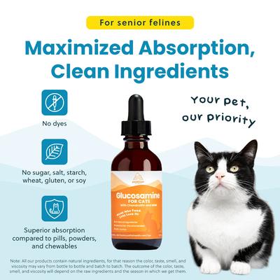 Glucosamine Hip & Joint Supplement for Cats, 2-fl oz