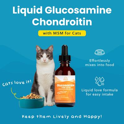 Glucosamine Hip & Joint Supplement for Cats, 2-fl oz