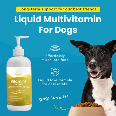 Liquid Vitamins Skin & Coat Support Dog Supplement, 16-fl oz bottle