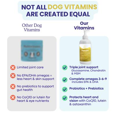 Liquid Vitamins Skin & Coat Support Dog Supplement, 16-fl oz bottle