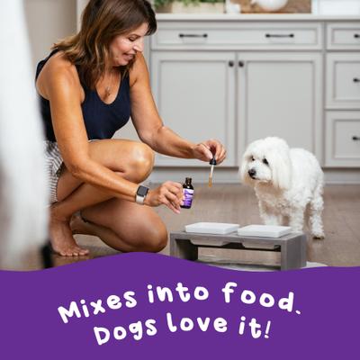 Glucosamine Hip & Joint Supplement for Small Dogs, 2-fl oz