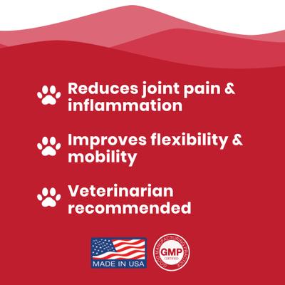 Glucosamine Hip & Joint Supplement for Dogs, 32-fl oz bottle