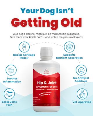 Glucosamine Hip & Joint Supplement for Dogs, 32-fl oz bottle