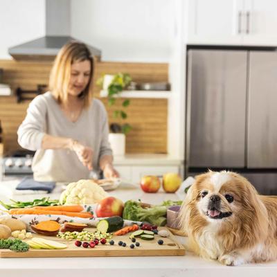 DoItYourself Turkey & Whole Wheat Macaroni Recipe Fresh Dog Food Recipe & Nutrient Blend, 4-oz bag