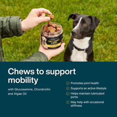 Hip & Joint Mobility with Glucosamine & Chondriotin, Superfood Blend, Human Grade, Plant-based Soft Chews Supplement for Dogs, 45 count