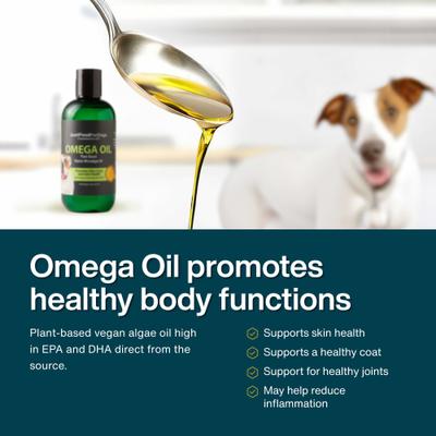 Omega Plus Oil Omega-3, Skin & Coat Support, Joint Health, EPA & DHA from Algae Oil, Sustainable & Eco-Friendly Liquid Supplement for Dogs, 8-fl oz bottle