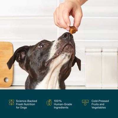 Skin & Allergy Care, Seasonal Allergies, Itchy Skin, Inflammation, Immune Support Soft Chews Supplement for Dogs, 45 count