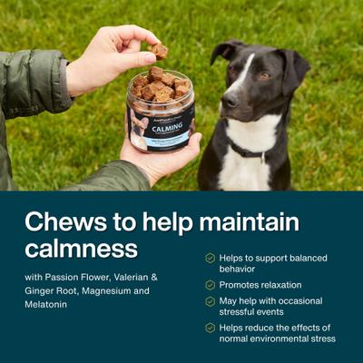 Calming Support Stress & Anxiety, Melatonin, Relaxation Aid, Human-Grade Ingredients Soft Chew Supplement for Dogs, 45 count