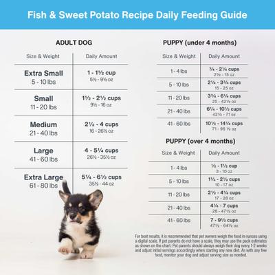 DoItYourself Fish & Sweet Potato Recipe Fresh Dog Food Recipe & Nutrient Blend, 5.92-oz bag