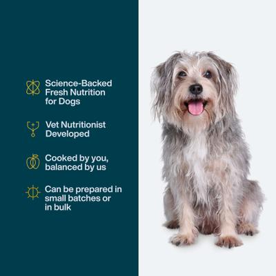 DoItYourself Turkey & Whole Wheat Macaroni Recipe Fresh Dog Food Recipe & Nutrient Blend, 4-oz bag