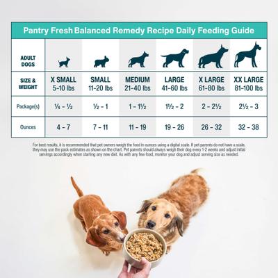 PantryFresh Balanced Remedy Recipe Fresh Dog Food, 12.5-oz pouch, case of 12