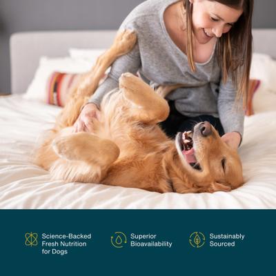 Omega Plus Oil Omega-3, Skin & Coat Support, Joint Health, EPA & DHA from Algae Oil, Sustainable & Eco-Friendly Liquid Supplement for Dogs, 8-fl oz bottle