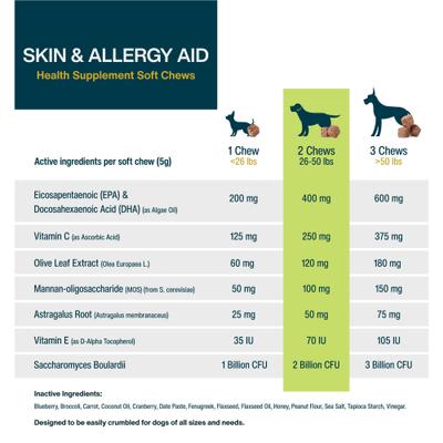 Skin & Allergy Care, Seasonal Allergies, Itchy Skin, Inflammation, Immune Support Soft Chews Supplement for Dogs, 45 count