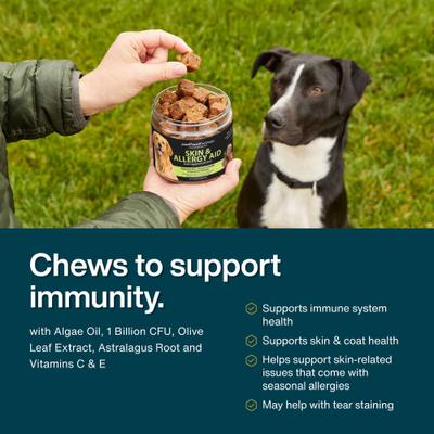 Skin & Allergy Care, Seasonal Allergies, Itchy Skin, Inflammation, Immune Support Soft Chews Supplement for Dogs, 45 count