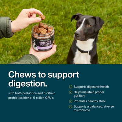 Probiotic Booster Gut, Digestive Health Support, Diarrhea, Human Grade Ingredients Soft Chews Supplement for Dogs, 45 count