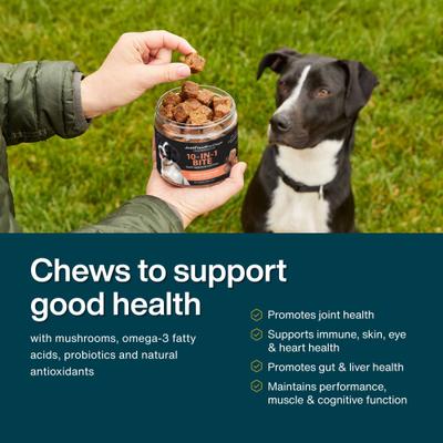 10-in-1 Multifunctional, Superfood Blend, Glucosamine, Omega-3 Fatty Acids, Skin Health, Joint Health, Probiotics, Plant-Based, Human Grade Chew Supplement for Dogs, 45 count